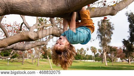 Spring Banner. Childhood Leisure, Happy Kids Climbing Up Tree And Having Fun In Summer Park. Kid Boy
