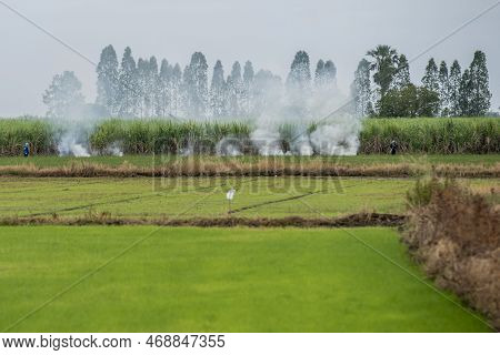 A Fire At A Rice Field Near The City Of Lopburi In The Province Of Lopburi In Thailand,  Thailand, L