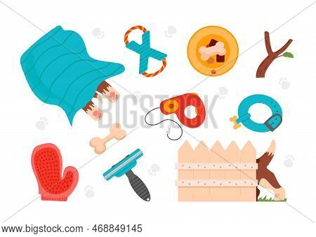 Puppy Stuff. Nice Set With Dog Care Items. Toys, Food Bowl, Bone, Dog-collar, Leash Roulette, Puppy 
