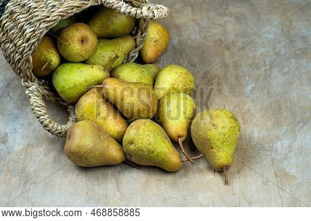 Pears In Basket On A Wooden Background. Fruit Harvest. Autumn Still Life. Pear Variety Bera Conferen