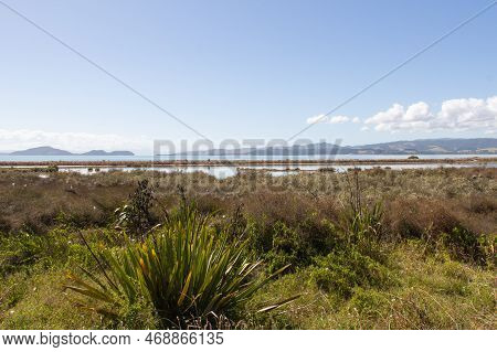 The View Of Picturesque Landscape With Bush, Sea And Mountains On Background In A Sunny Day, Duder R