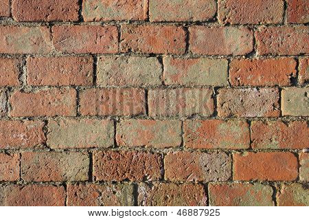 brick wall