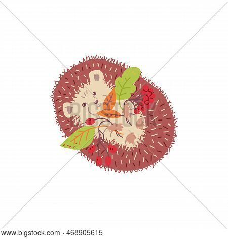 Cute Hedgehog Wallows On Back With Autumn Leaves In Paws, Flat Vector Isolated.