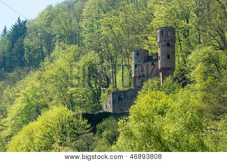 Schwalbennest Castle Outside Neckarsteinach