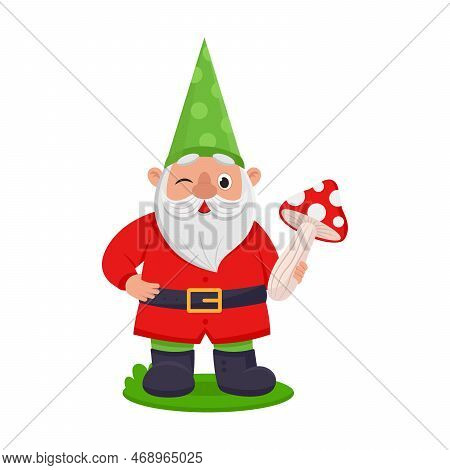 Cute Garden Gnome In Green Cap With Fly Agaric In His Hand. Vector Illustration Of Funny Fairy Tale 