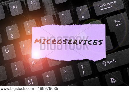 Text Sign Showing Microservices. Internet Concept Software Development Technique Building Single Fun