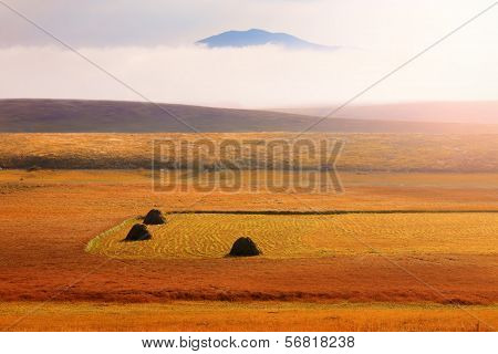 Foggy Morning On The Mountain Plateau