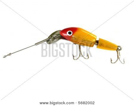 Cisco Kid pesca esca