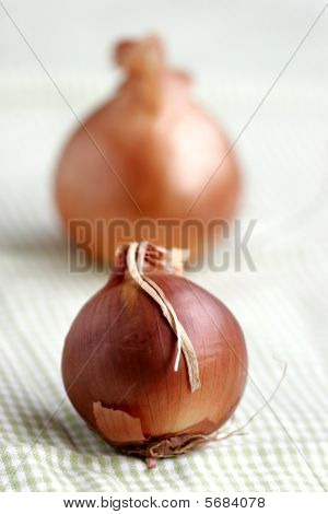 Duas cebolas