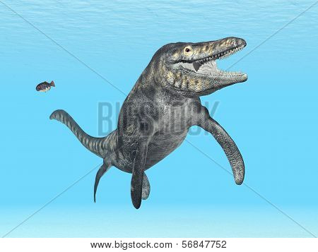 Mosasaur Tylosaurus