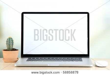 Laptop and cactus in flowerpot on wooden table