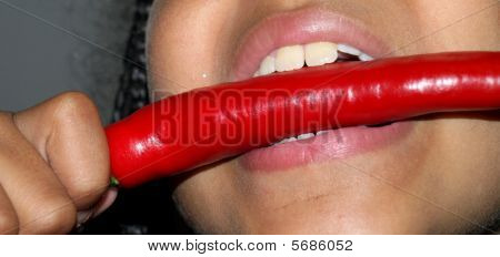 Verkostung chillipepper