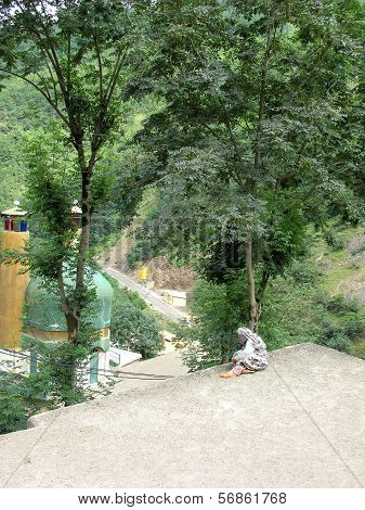 Masuleh