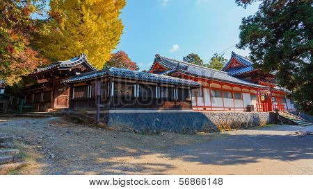 Tamukeyama Hachimangu in Nara in Autumn