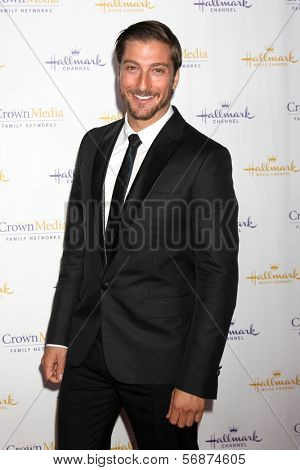 LOS ANGELES - JAN 11:  Daniel Lissing at the Hallmark Winter TCA Party at The Huntington Library on January 11, 2014 in San Marino, CA