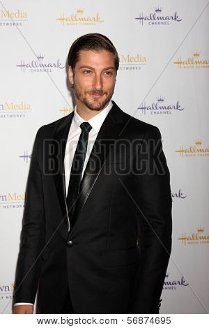 LOS ANGELES - JAN 11:  Daniel Lissing at the Hallmark Winter TCA Party at The Huntington Library on January 11, 2014 in San Marino, CA