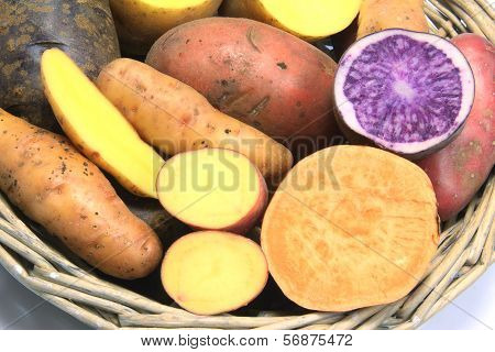 Colorful Potatoes