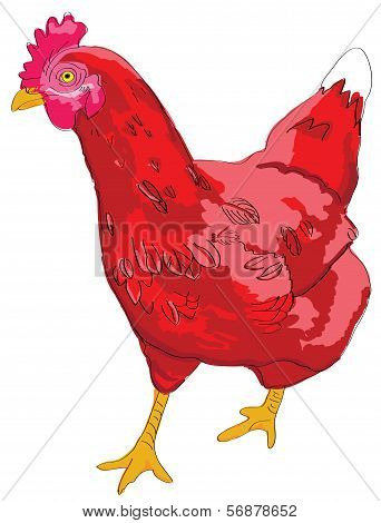 red hen