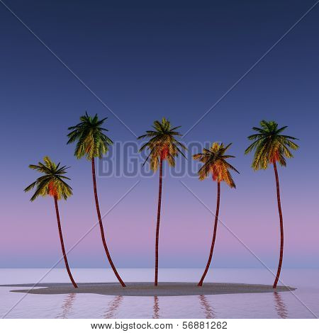 Five Coconut Palms