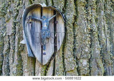 Small chapel on a bark of tree.