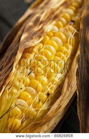 Homade Grilled Corn On The Cob