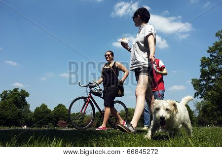 People and a dog walking in a park
