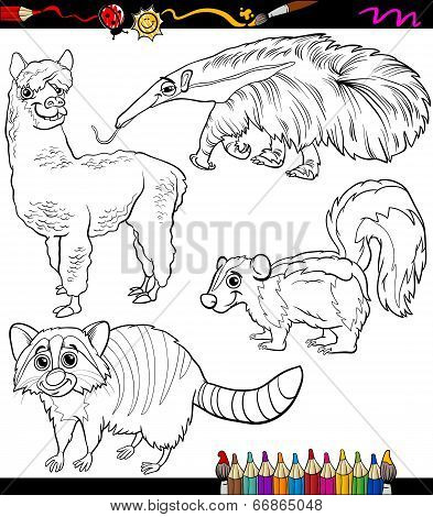 Animals Set Cartoon Coloring Book