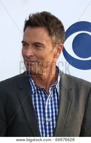 LOS ANGELES - MAY 19:  Tim Daly at the CBS Summer Soiree at the London Hotel on May 19, 2014 in West Hollywood, CA