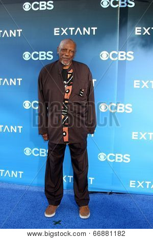 LOS ANGELES - JUN 16:  Louis Gossett Jr at the 