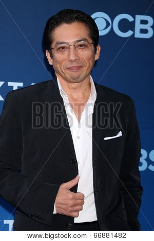 LOS ANGELES - JUN 16:  Hiroyuki Sanada at the 