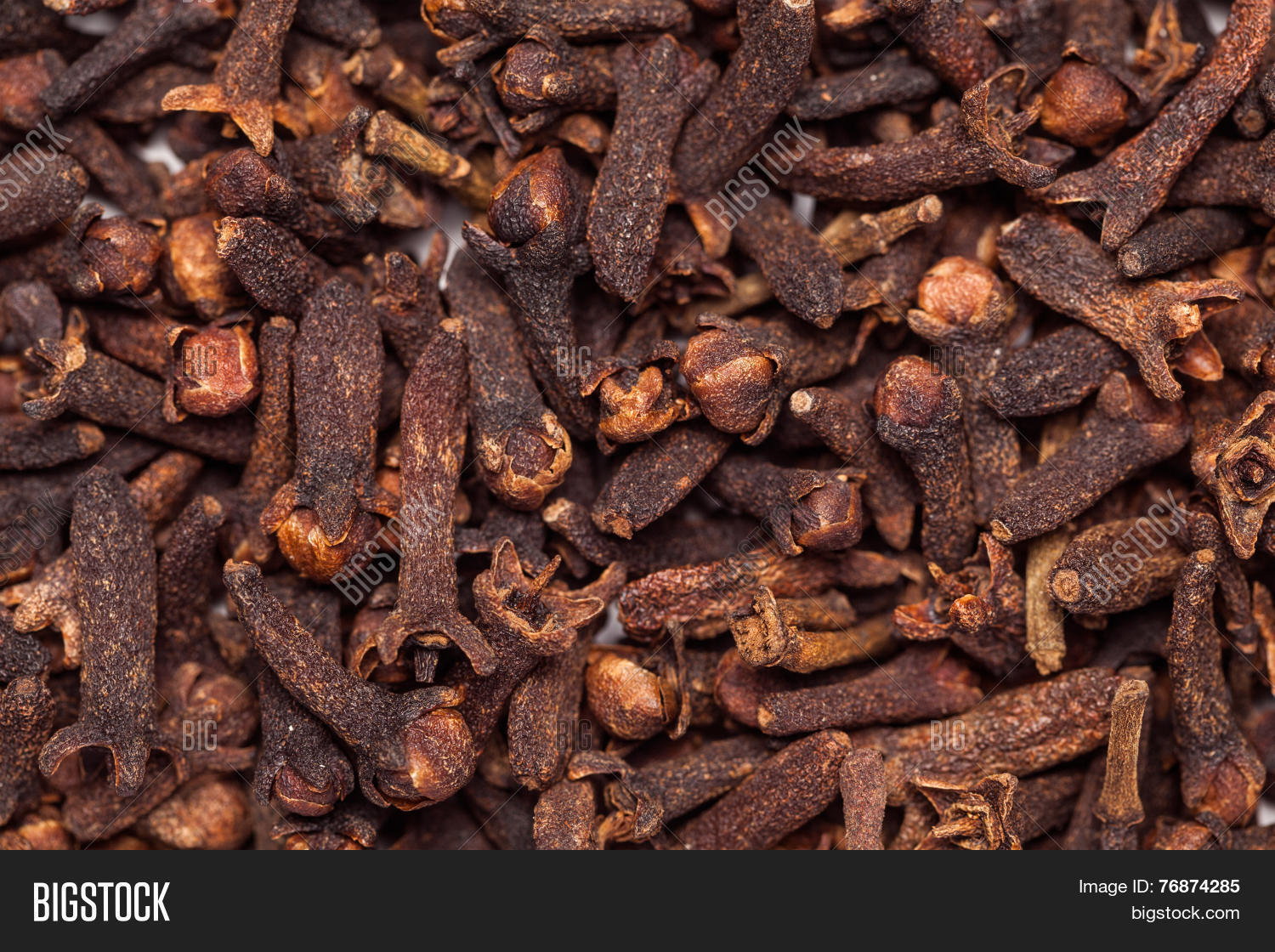 Black Brown Seed Clove Image & Photo (Free Trial) Bigstock