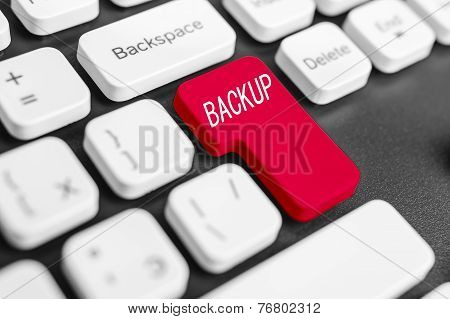 Backup Button