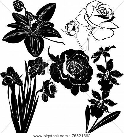 flowers