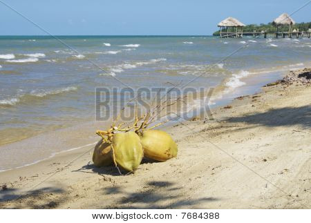 Noci di cocco sulla spiaggia