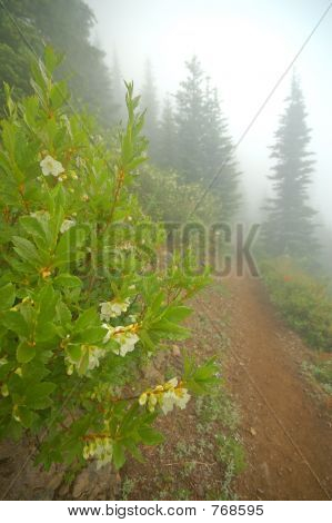 Wanderweg in den Bergen