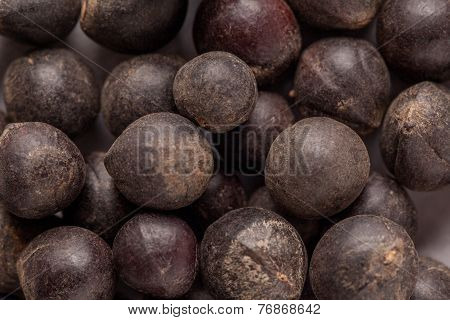 Sapindus laurifolius (Ritha) or Sapindus saponaria