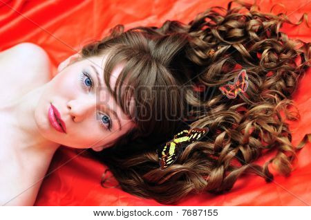 ความงาม longhaired