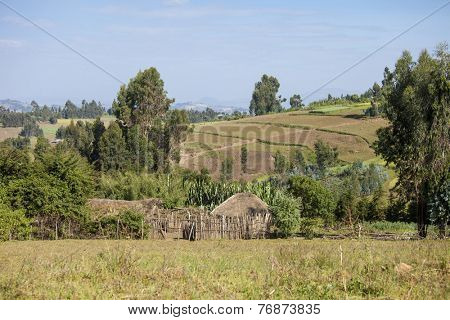 houses and farms in the mountains of Ethiopia