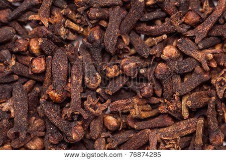 Black brown seed clove(loong india) Syzygium aromaticum