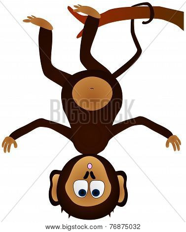 Hanging monkey
