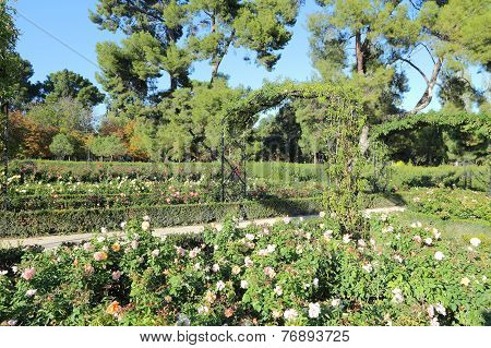 Retiro, Madrid