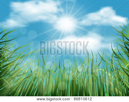 Background With Grass And Sky