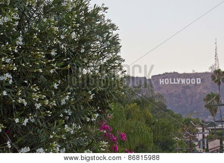 The Hollywood Sign
