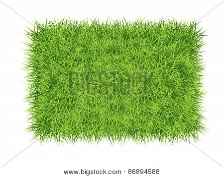 Grass Carpet Background