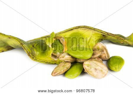 Petai seeds with the its skin, seed pods and cluster at background
