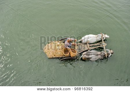Myanmar Life