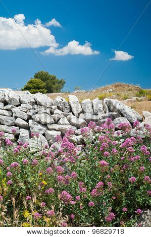 Dry Stone Wall