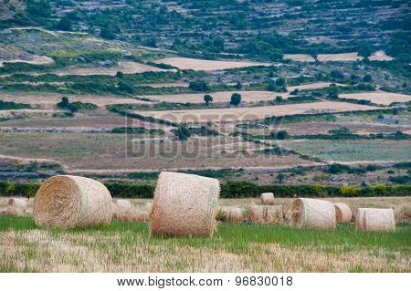 Wheat Sheaves