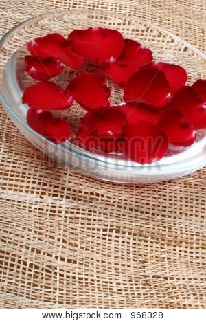 กุหลาบในชาม