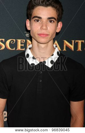 LOS ANGELES - JUL 24:  Cameron Boyce at the 